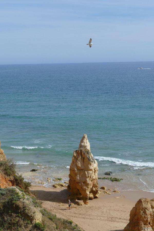Praia Da Rocha, Algarve Sunny Apartment 波尔蒂芒 外观 照片